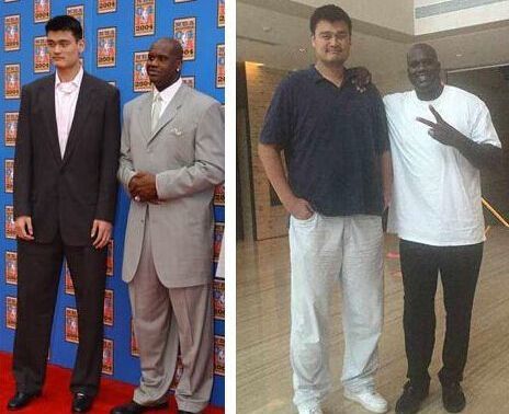 据的消化能 据的消化能