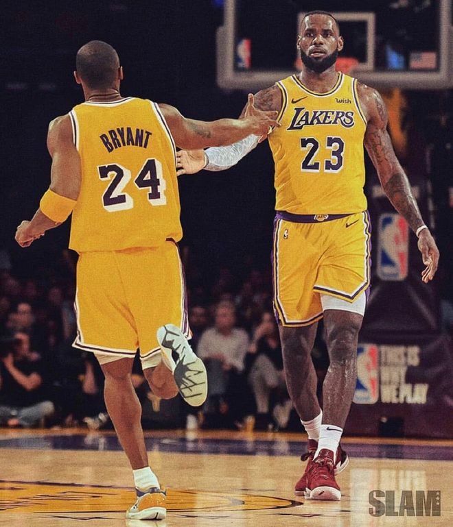 社交生态去 社交生态去